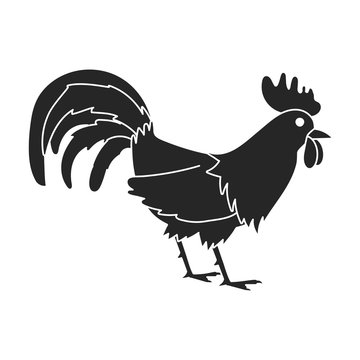 Cock of animal vector icon.Black,simple vector icon isolated on white background cock of animal.
