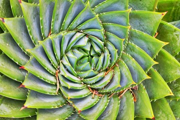 Spirale