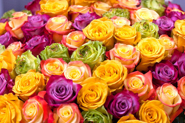 Big bouquet of colorful roses close up