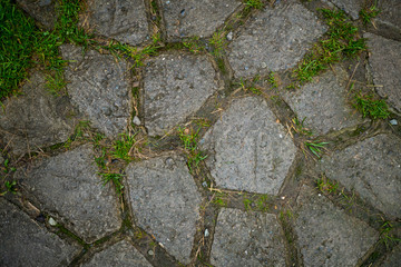 Texture of paving slabs overgrown with grass. Background image of a stratum stone
