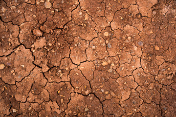 Texture of dried cracked clay. Macro background image of dried clay