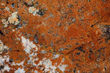 The texture of the stone overgrown with moss. Background image of a boulder