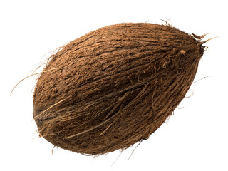 Graphic resources of an isolated coconut object on a white background