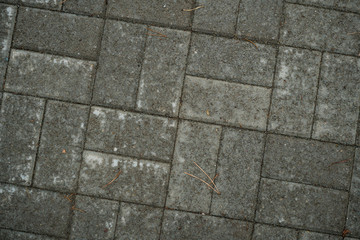 Texture of paving slabs overgrown with grass. Background image of a stratum stone