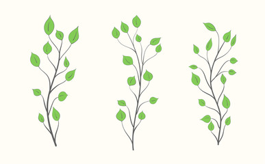 Set of branches with green leaves of different shapes and sizes on a light background