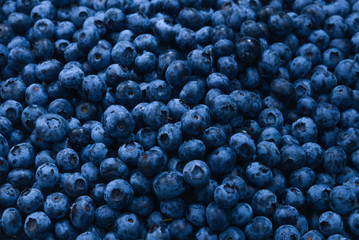 Fresh blueberry background. Texture blueberry berries close up.