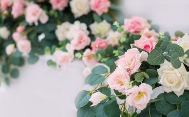 Beautiful rose flowers on a light background close-up. Art flower background for greeting card for Mother's Day and Valentine's day . Wedding invitation with roses