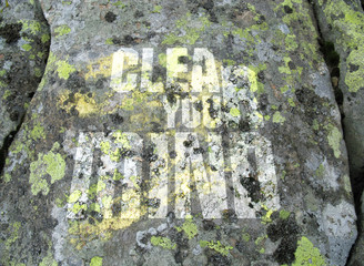 Big sea stone overgrown with green moss and algae. Background with the inscription Clear your mind