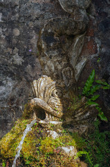 Detail of garden fountain with fish head water