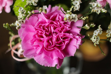 Closeup of isolated pink clove carnation in bouquet