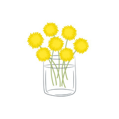 Dandelions in a glass cup. Bouquet of yellow spring flowers. Floral composition. Vector illustration on a white background