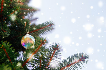 Golden transparent ball on the Christmas tree. Blue background.