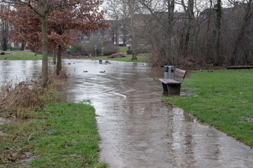 Hochwasser am Rhein in Deutschland
