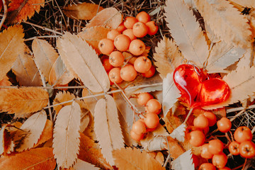 Red heart lies on the fallen autumn leaves