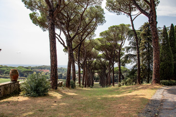 Rome 8 March 2020. The Vatican gardens of the papal residence, well-kept fountains and trees.