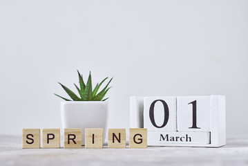 Wooden block calendar with date 1 march and plant on the table. Spring concept - obrazy, fototapety, plakaty