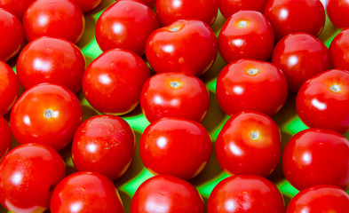 Lots of red tomatoes in rows.