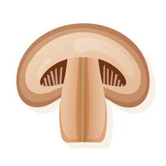 Fresh royal champignon mushrooms slice, isolated on white background. Vector illustration.