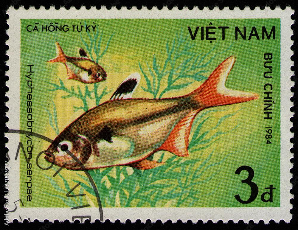 Wall mural VIETNAM - CIRCA 1984: post stamp 3 Vietnamese dong printed by Socialist Republic of Vietnam, shows fish Serpae Tetra (Hyphessobrycon serpae), fish tank fauna, circa 1984