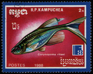 CAMBODIA - CIRCA 1988: post stamp 2 Cambodian riel printed by Kingdom of Cambodia, shows fish...
