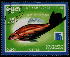 CAMBODIA - CIRCA 1988: post stamp 0.2 Cambodian riel printed by Kingdom of Cambodia, shows fish...