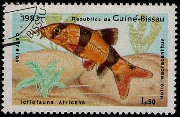 GUINEA-BISSAU - CIRCA 1983: post stamp 1.50 Bissau-Guinean peso printed by Republic of...