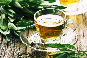 Infusion made from sage leaves. Medicinal herb Salvia officinalis