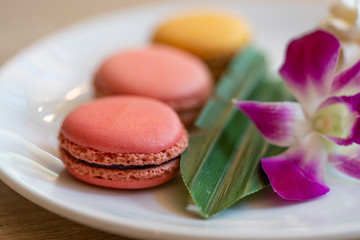 Close-up Colorful biscuit macaroons. Sweet macarons on white plates.