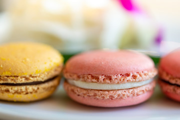 Close-up Colorful biscuit macaroons. Sweet macarons on white plates.