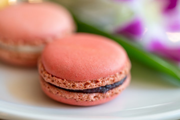 Close-up Colorful biscuit macaroons. Sweet macarons on white plates.