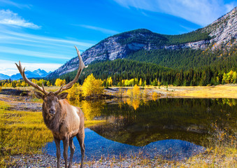  The colossal pond Abraham