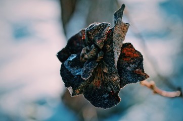 Processed with VSCO with c1 preset