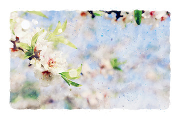 Obraz na płótnie Canvas watercolor style and abstract image of cherry tree flowers