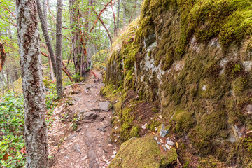 Mountain Trail in British Columbia, Canada. Rocky Background.