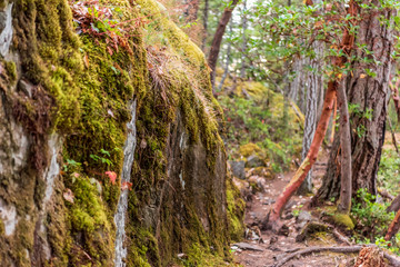 Mountain Trail in British Columbia, Canada. Rocky Background.