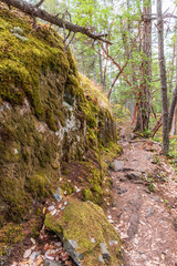 Mountain Trail in British Columbia, Canada. Rocky Background.