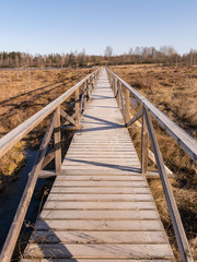 Fototapeta premium wooden footbridge