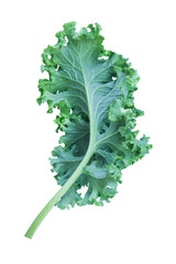 Organic GREEN blue  Curly leaf Kales  freshness  vegetable salad  superfood  hight vitamins and  nutritious  isolated on white background texture soft focus closeup © Priss NK D