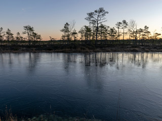 beautiful bog landscape at sunrise