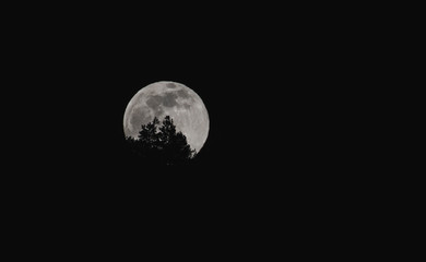 Moon 