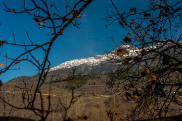 mountain panorama in the background with trees and forest in the foreground