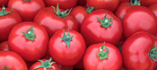 Delicious red tomatoes in Summer tray market agriculture farm full of organic.