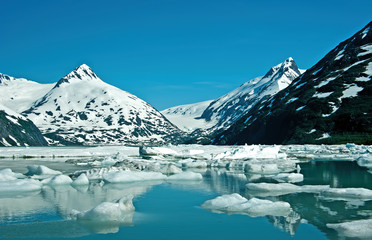 Fototapeta na wymiar Glacial debris near Girdwood, Alaska. The warming climate has had a devastating impact on glaciers.
