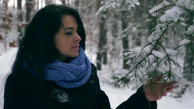 Female Hand Touches Pine Tree Branches Covered With Snow. Holidays Vacation Walking Hiking in Winter Forest During Snowfall. Frost Weather In the Wood. Slow motion 60 fps