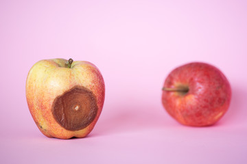 Wilted rotten and wrinkled apple.