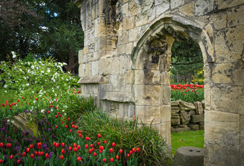 Arch and gardens with flowers in the ruins of the Benedictine Abbey of Santa Maria in the English city of York.