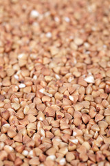 Buckwheat