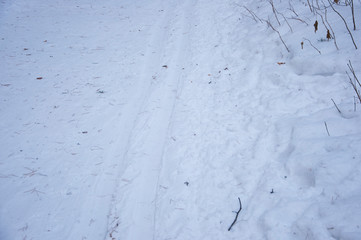 wintry landscape scenery with modified cross country skiing way