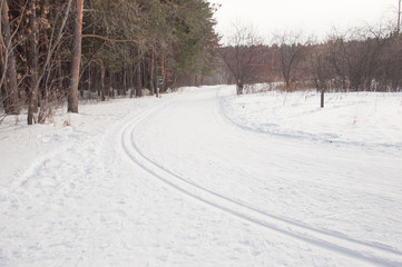 wintry landscape scenery with modified cross country skiing way
