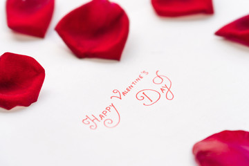 Romantic Valentine's Day Wallpaper. Happy Valentine's Day with rose flower petals composition isolated on white background. Flat lay concept for love in the air, couple romance, love, cover, pamphlet.